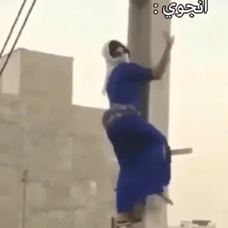 Telegram sticker 😍 @n_v_u — @stckrRobot