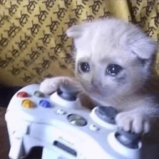 Telegram sticker 🥺 @n_v_u — @stckrRobot