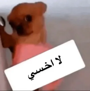 Telegram sticker 🥺 @n_v_u — @stckrRobot