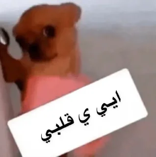 Telegram sticker 😔 @n_v_u — @stckrRobot