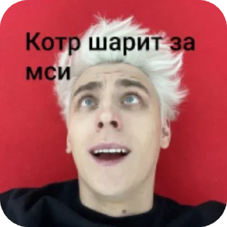 Telegram sticker 🖼 Влад Бумага А4  влд @sskwesstyy