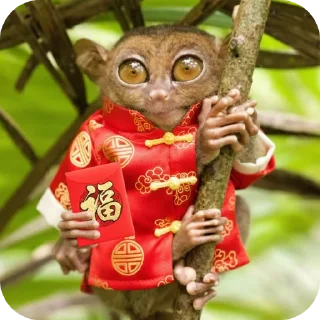 Video sticker 🧸 I SUS 001