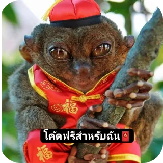 Video sticker 🐞 I SUS 001