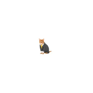 Video sticker 🚙 Prikolnutie_stickeri