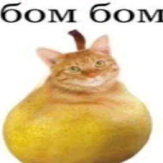 Telegram sticker 🍐 Prikolnutie_stickeri