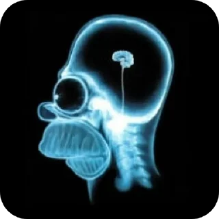 Video sticker 👍 nonrootnonhuman