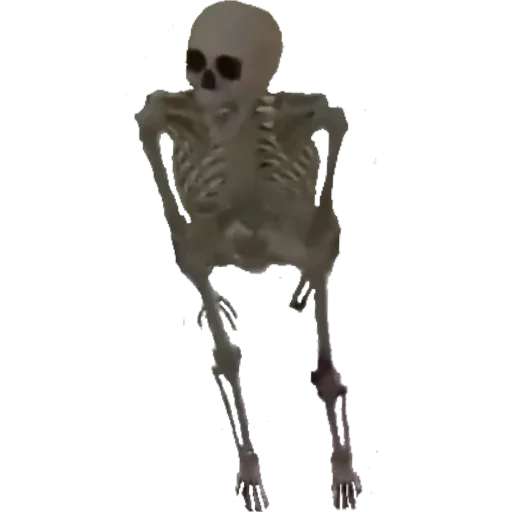 Telegram sticker ☠ the 𝄞ound 😭💀🙏 | @NikkaGameS