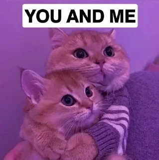 Sticker 😎 ꫝꫀ𝘳ꪮ᥊ ꪮρ♡︎'s stic-pack (@Yone_Robot)