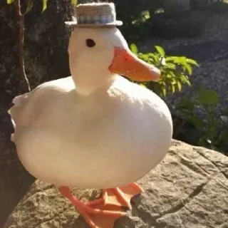 Video sticker 🎩 Больше стиков тут: @archstick