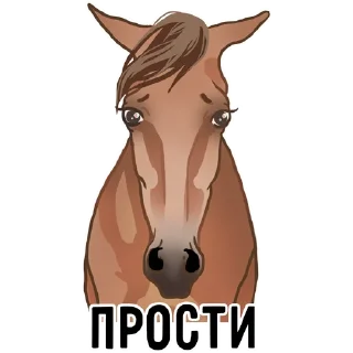 Video sticker 😭 Horse Force (@silkwindflash)