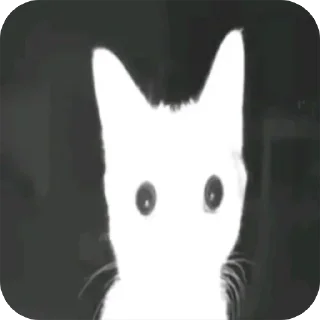 Video sticker 😶 hzzz :: @fStikBot