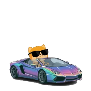 Video sticker 😀 맨틀딱