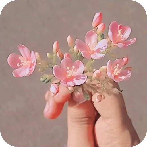 Telegram stiker 👍 Aditi 🧬 • @sticbot