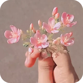 Telegram stiker 👍 Aditi 🧬 • @sticbot