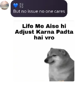 Video sticker 🧑‍🦳 Aditi 🧬 • @sticbot