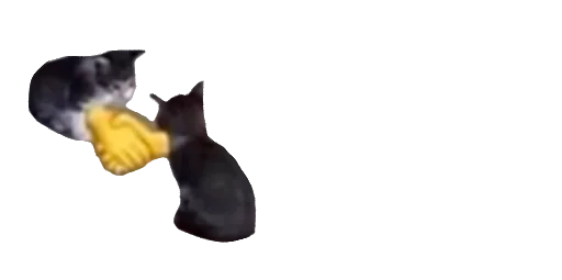 Telegram sticker 🤝 Blake Fav :)