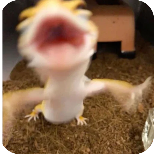 Telegram sticker 💪 Blake Fav :)