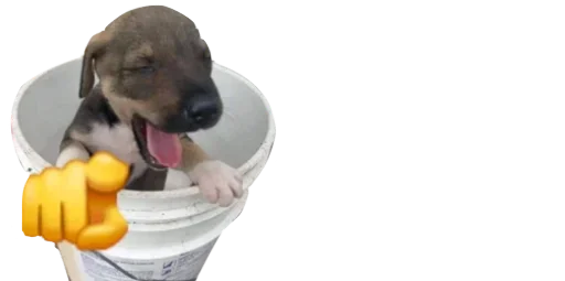 Telegram sticker 😂 Blake Fav :)