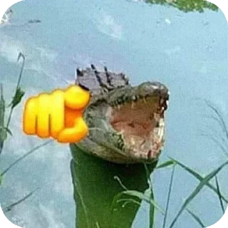 Telegram sticker 🐞 Shitpost