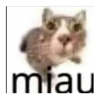 Sticker 🖼 Shitpost