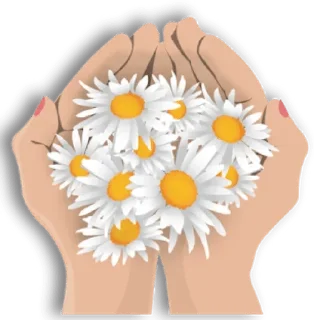 Video sticker 🌼 @gifsandimages nice — @stckrRobot