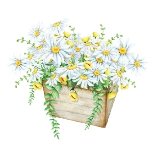 Sticker 🐝 @gifsandimages nice — @stckrRobot