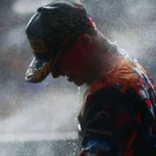 Video sticker 🚿 Bulka Norris1