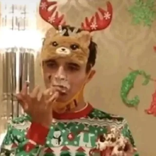 Телеграм стикер 🎂 Bulka Norris1