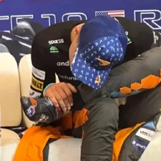 Телеграм стикер 🥴 Bulka Norris1