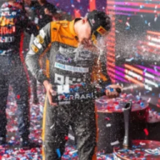 Video sticker 🍾 Bulka Norris1