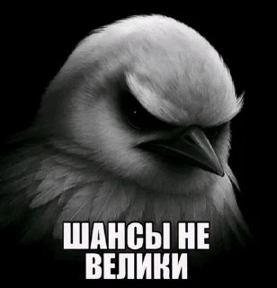 Telegram stiker 🤔 Вряд-ли :: @c1ane :: @fStikBot