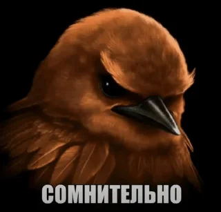 Telegram stiker 🤔 Вряд-ли :: @c1ane :: @fStikBot
