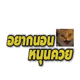 Video sticker 👍 CEO ★ ROMANOF :: @fStikBot