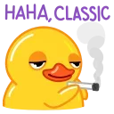 Video sticker 🤤 Duck