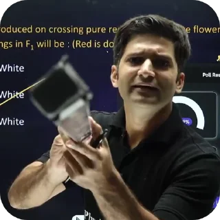 Video sticker 👍 Made by UTKARSH
