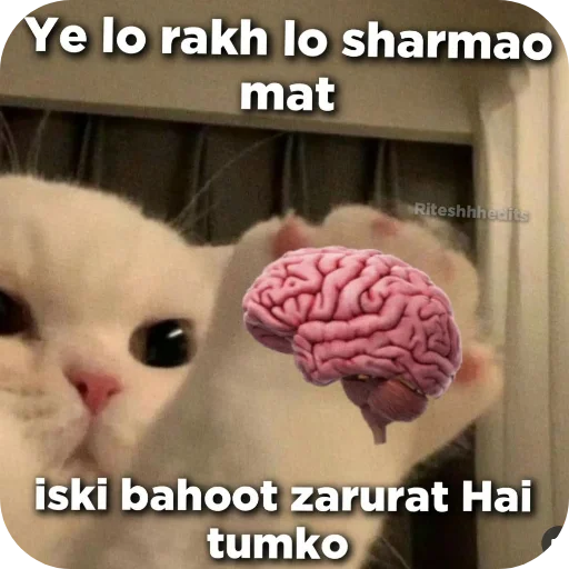 Telegram stiker 🐱 Amit ka pack @Ur_amit_01