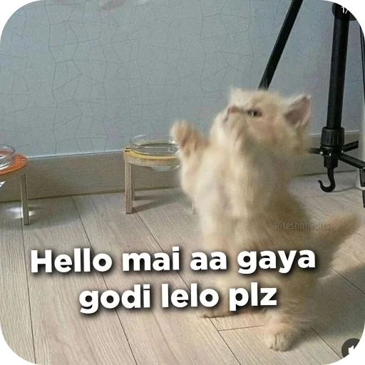 Telegram stiker 👍 Amit ka pack @Ur_amit_01