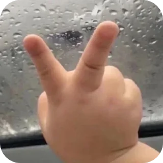 Video sticker ✋ @Me_Asatya :: @fStikBot