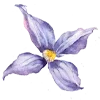 Video sticker 🪷 flowers aesthetics...