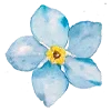 Video sticker 🌸 flowers aesthetics...