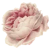 Sticker 🌸 flowers aesthetics | @ritataro