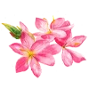 Sticker 🌷 flowers aesthetics | @ritataro