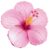 Sticker 🌸 flowers aesthetics | @ritataro