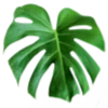 Sticker 🍃 flowers aesthetics | @ritataro