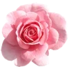Sticker 🌹 flowers aesthetics | @ritataro