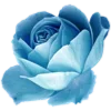 Sticker 🌹 flowers aesthetics | @ritataro