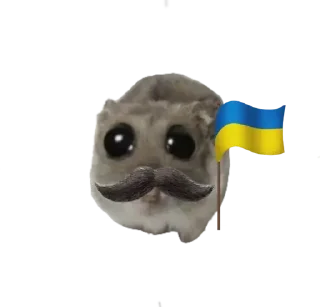 Telegram sticker 🥺 Курва хомік @Ua_anime_stickers