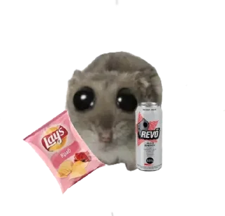 Telegram sticker 🥺 Курва хомік @Ua_anime_stickers