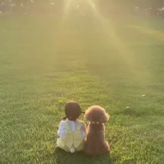 Video sticker 🤗 @itz_mysterious_girl :: @fStikBot