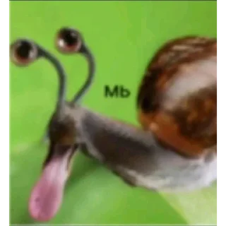 Telegram sticker 🐌 дура